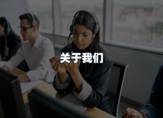 专业团队