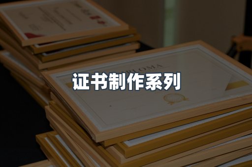仿制证件24小时